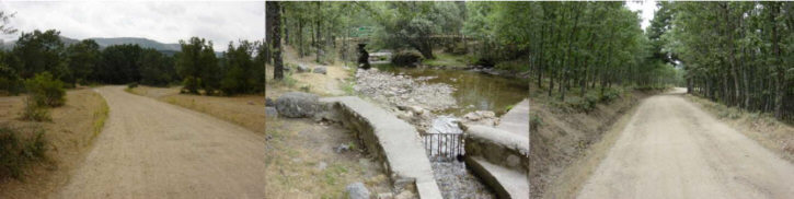 Pista forestal y Arroyo Aguiln