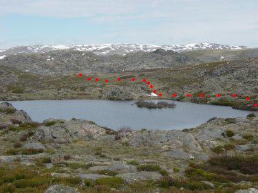 Laguna del Cuadro
