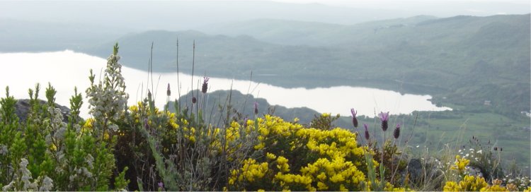 Lago de Sanabria