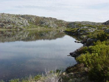 Laguna Payn