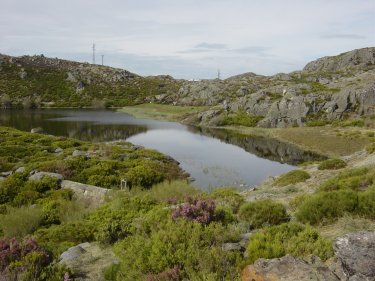 Laguna Payn