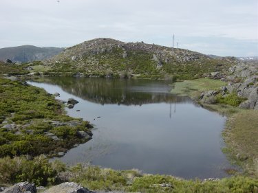 Laguna Payn