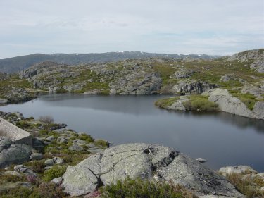 Laguna de Mancas