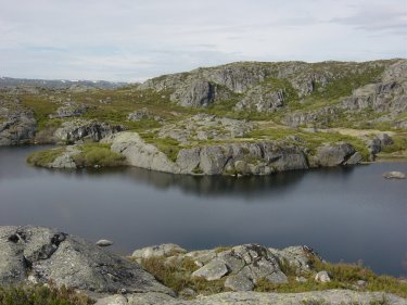 Laguna de Mancas