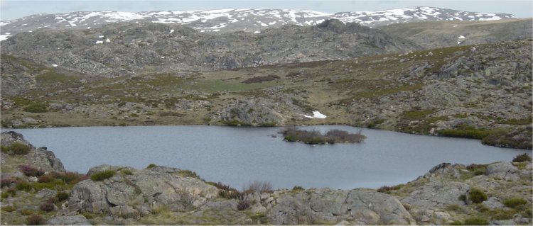 Laguna del Cuadro