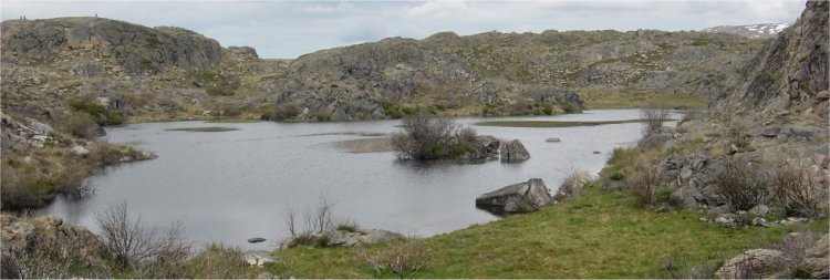 Laguna Roya