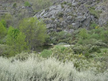 Poza en Río Segundera