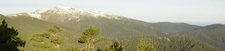 Valle de Valsa�n