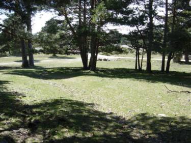 Pradera de Navarrulaque y Pista forestal "Carretera de la Republica"