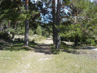 Comienzo de la Senda Herreros en la Pradera de Navarrulaque