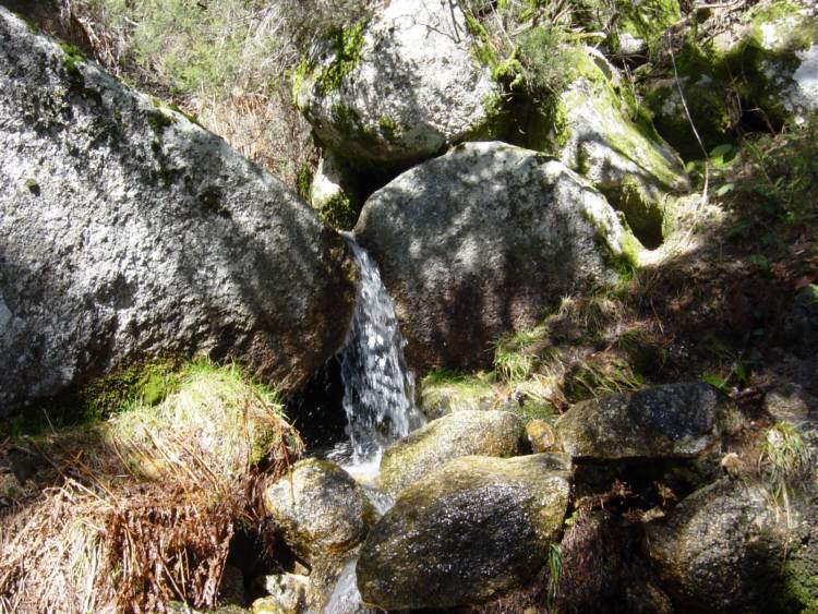 Nacimiento del Arroyo Pradillo. Considerado como el nacimiento del R�o Guadarrama. Concavo de Siete Picos