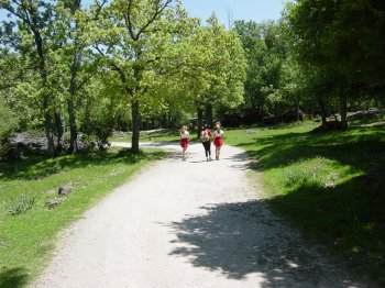 Camino a la finca El Ermita�o de Abajo
