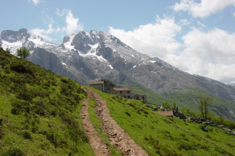 majada tenerosa