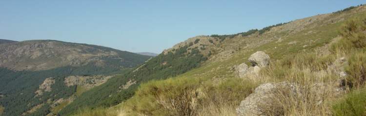 puerto de canencia