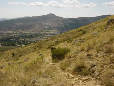 Cerro de El Pendn Bustaviejo
