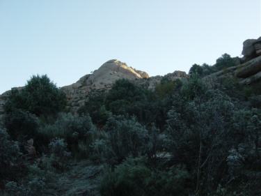 la tortuga. la pedriza