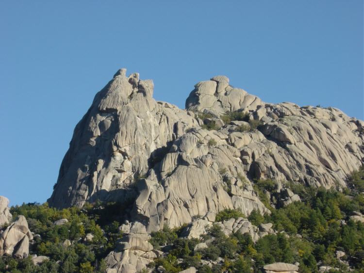 El P�jaro. La Pedriza