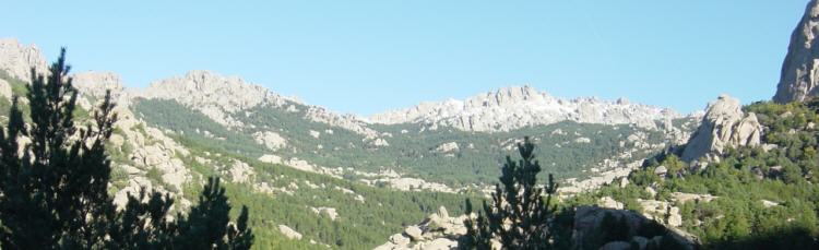 Cirso de la Pedriza