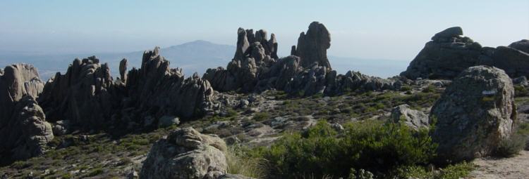 Las cuatro damas. La Pedriza